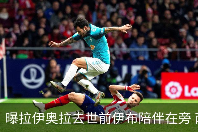曝拉伊奥拉去世前伊布陪伴在旁 两人合作多年